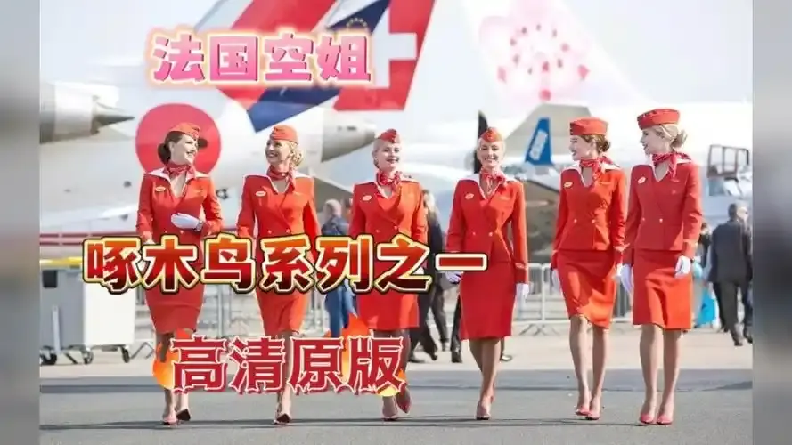 《法国空姐4》免费观看法国完整版-超高清在线观看免费赛尔法国空姐-资源下载