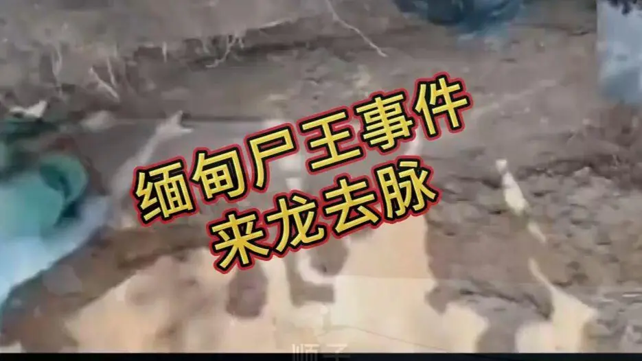 《缅甸僵尸出土事件视频》完整版资源下载-高清未删减全程录像-在线观看免费播放